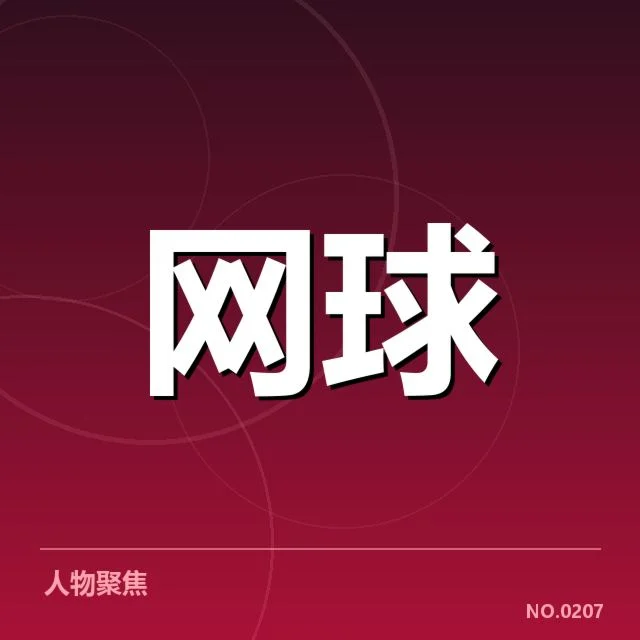 确认的主要参赛队伍和赛事数据